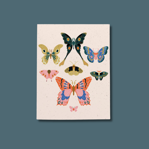 Multicolored moths