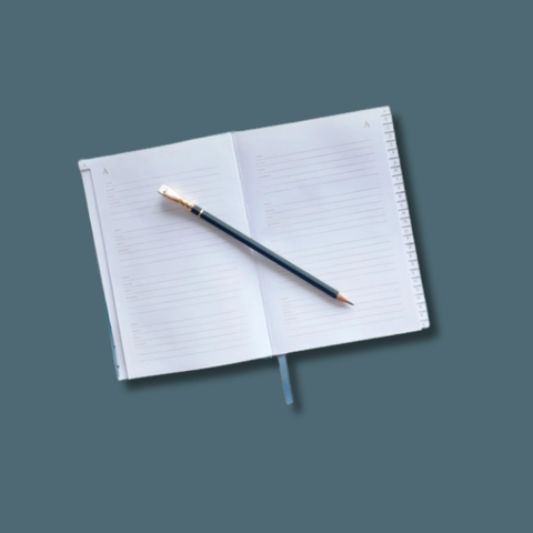 Blue Houses Address Book