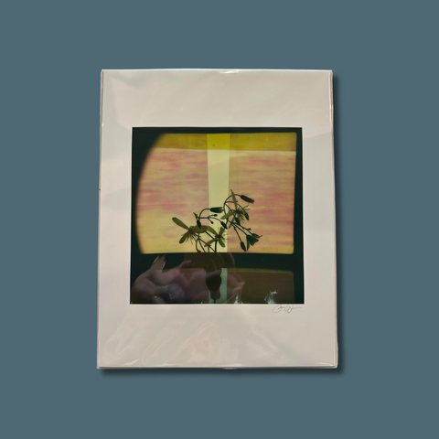 Sprigs Polaroid Art Print