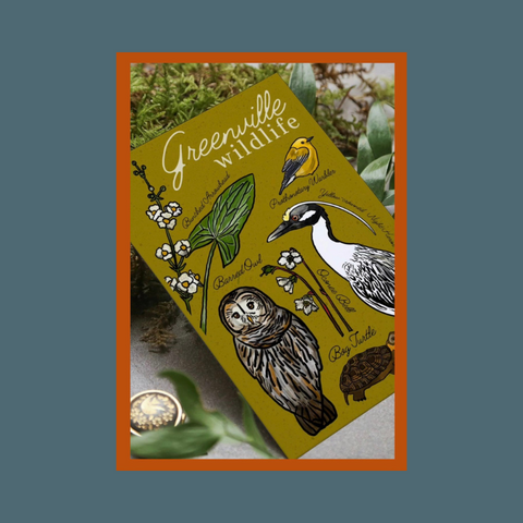 Greenville Wildlife Postcard