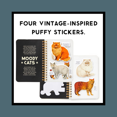 Moody Cats Sticker Book