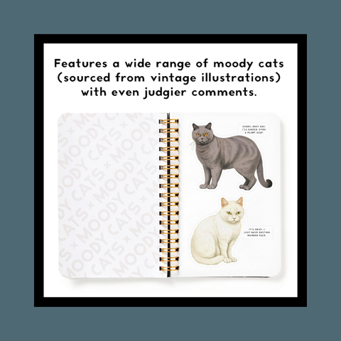 Moody Cats Sticker Book