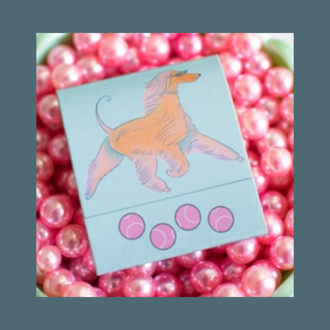 Dog Matchbook
