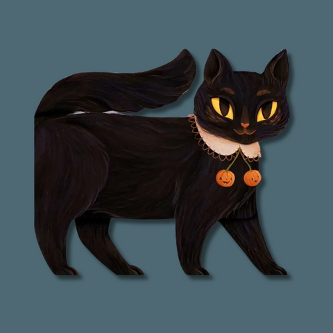 One Black Cat