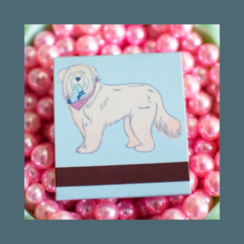 Dog Matchbook
