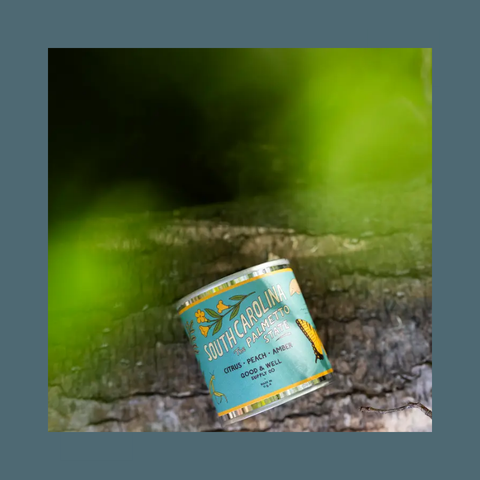 South Carolina State Soy Candle 